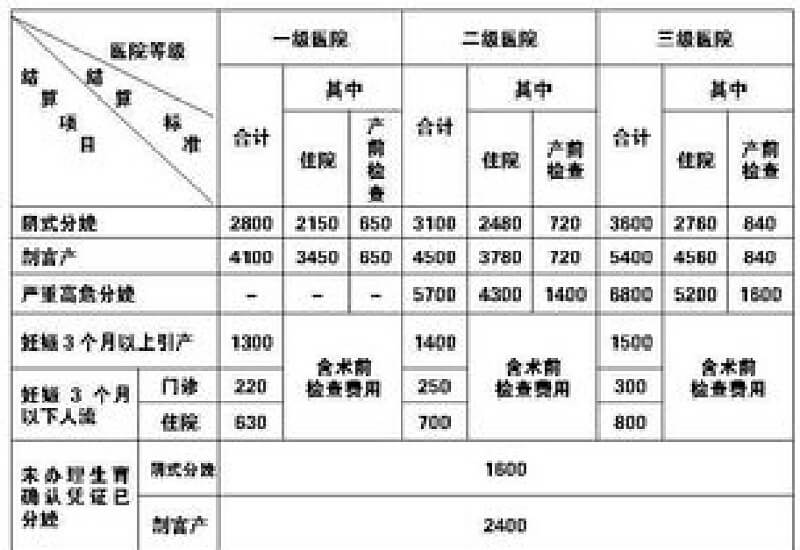 2023荆州公安县生育保险享受条件