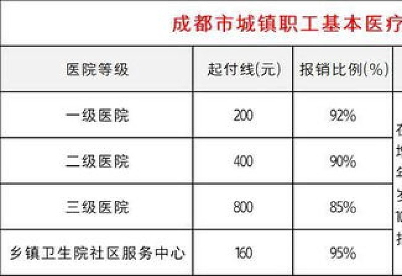 承德大病报销支付比例是多少？